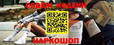 мдпв Кингисепп
