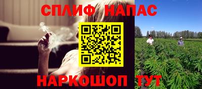 мдпв Кингисепп