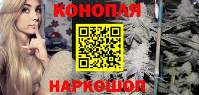 мдпв Кингисепп