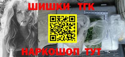 мдпв Кингисепп