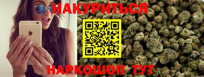 мдпв Кингисепп