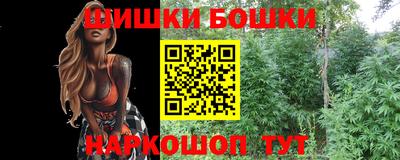 мдпв Кингисепп