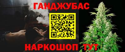 мдпв Кингисепп