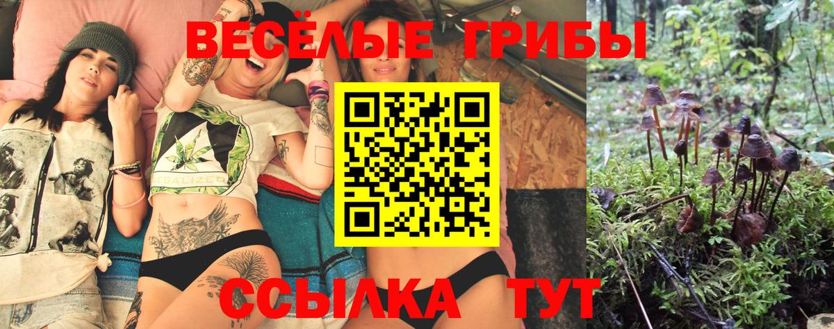 Кубинка  Псилоцибиновые грибы Magic Shrooms  Галлюциногенные грибы прущие грибы  Вход с VPN 
